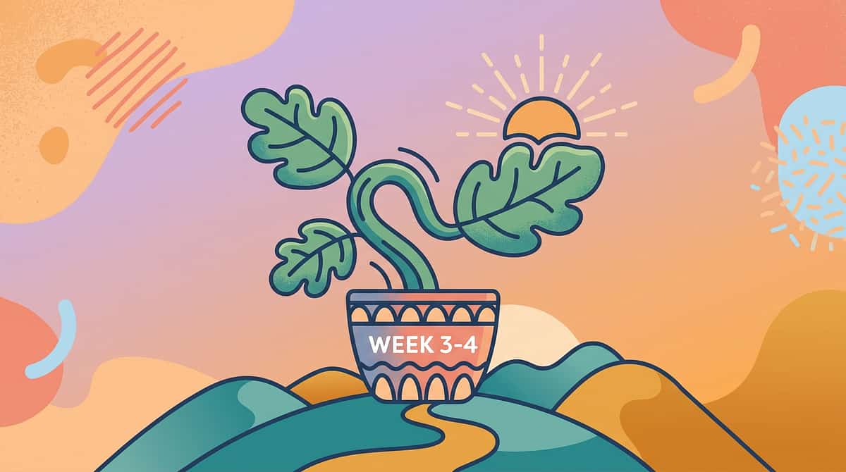9-materials-that-help-with-tracking-progress therapy material